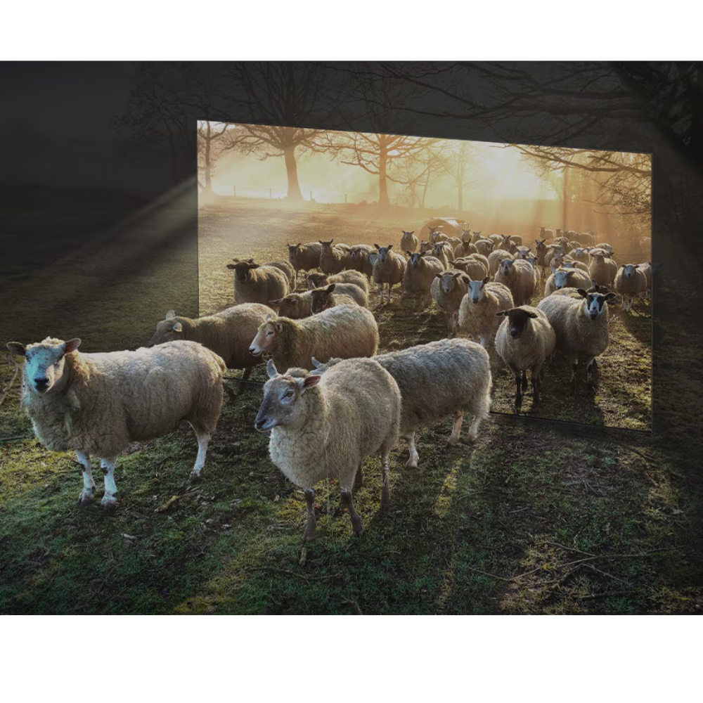 "Samsung OLED & QLED TVs in Abu Dhabi"
