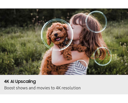 SAMSUNG 75" Neo QLED QN80F 4K Samsung Vision AI Smart TV (2025)